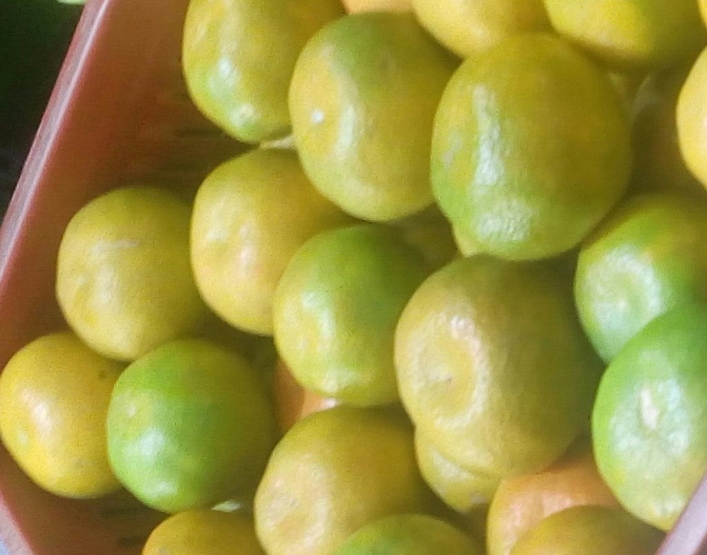 Mandarina Lisa
