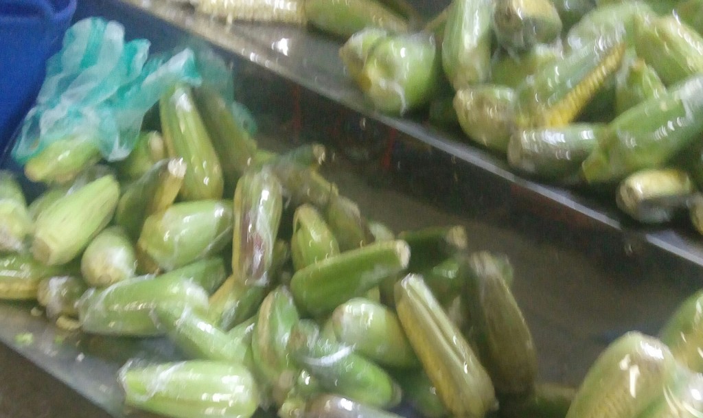 Mazorcas