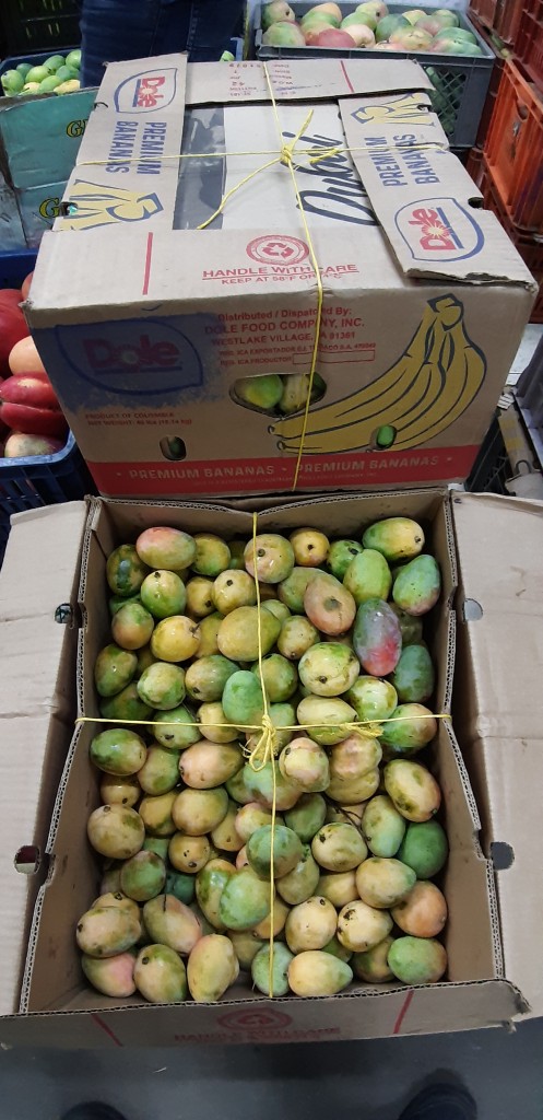 Mango de azúcar
