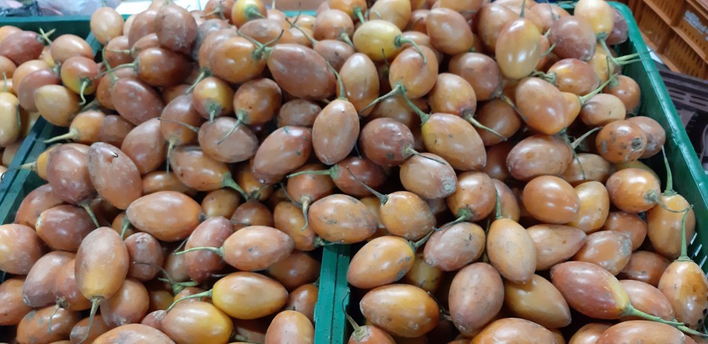 Tomate de árbol