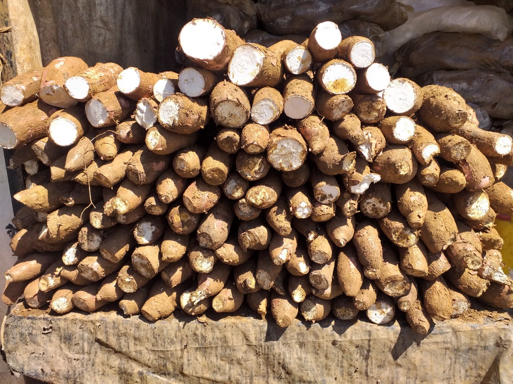 Yuca suelta