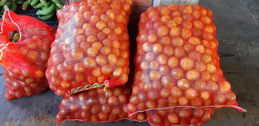Limón taithi grueso