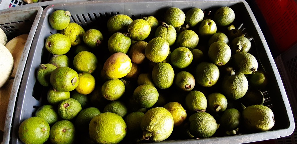 Guayaba agria
