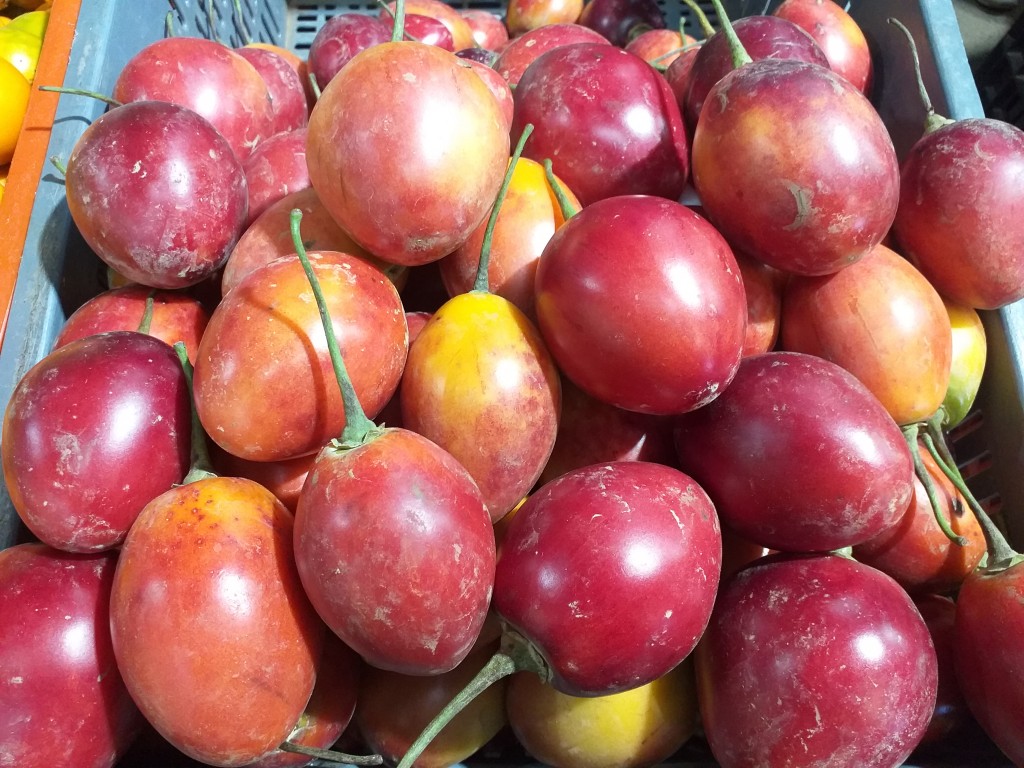 Tomate arbol injerto