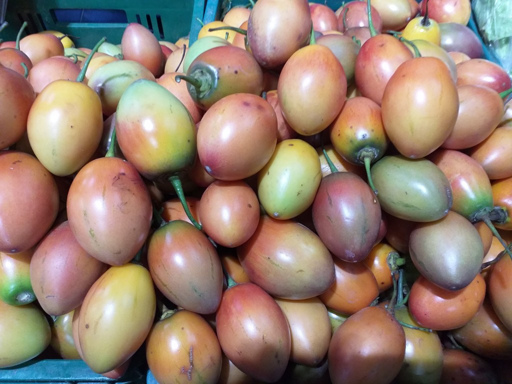 Tomate de arbol parejo