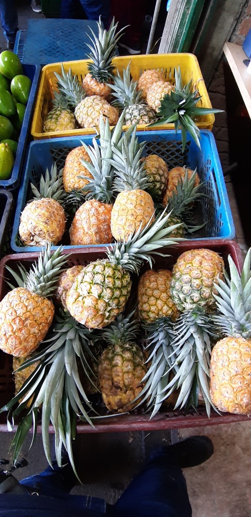 Piña oro miel  2da