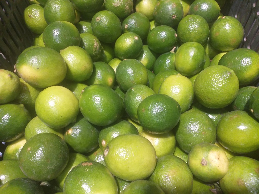 Limon tahiti
