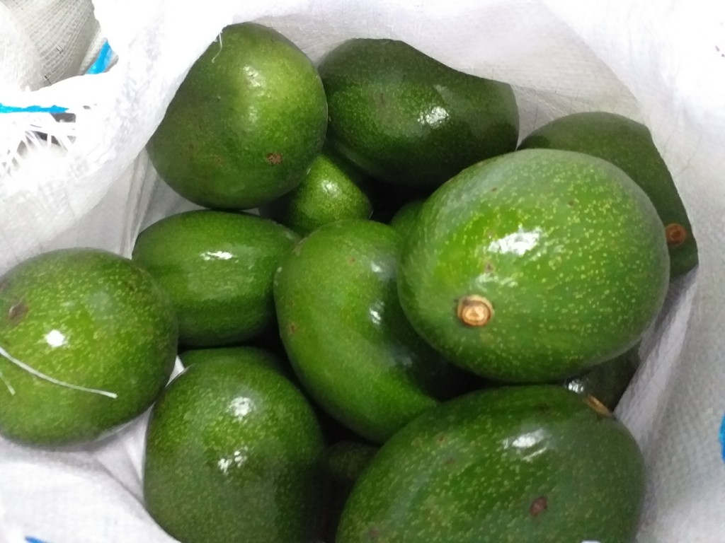 Aguacate choquette