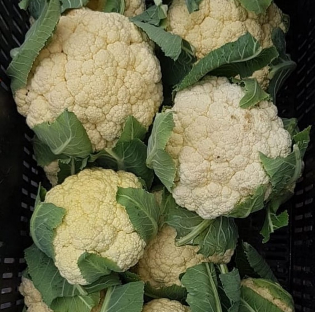 Coliflor