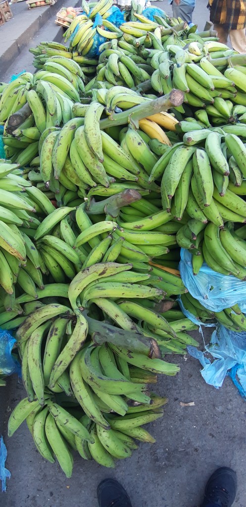 Platano harton 2da