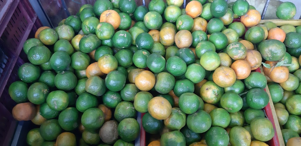Mandarina oneco
