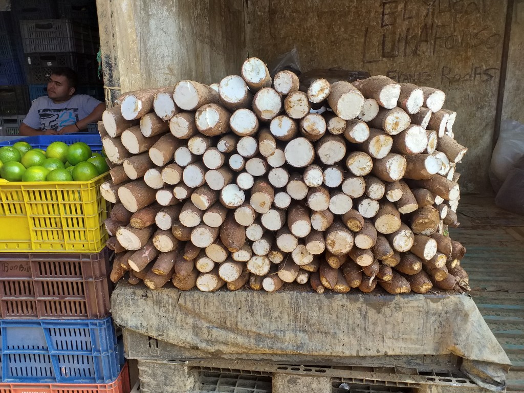 Yuca suelta