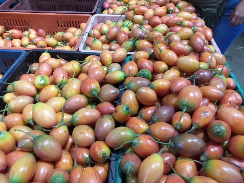 Tomate de arbol parejo