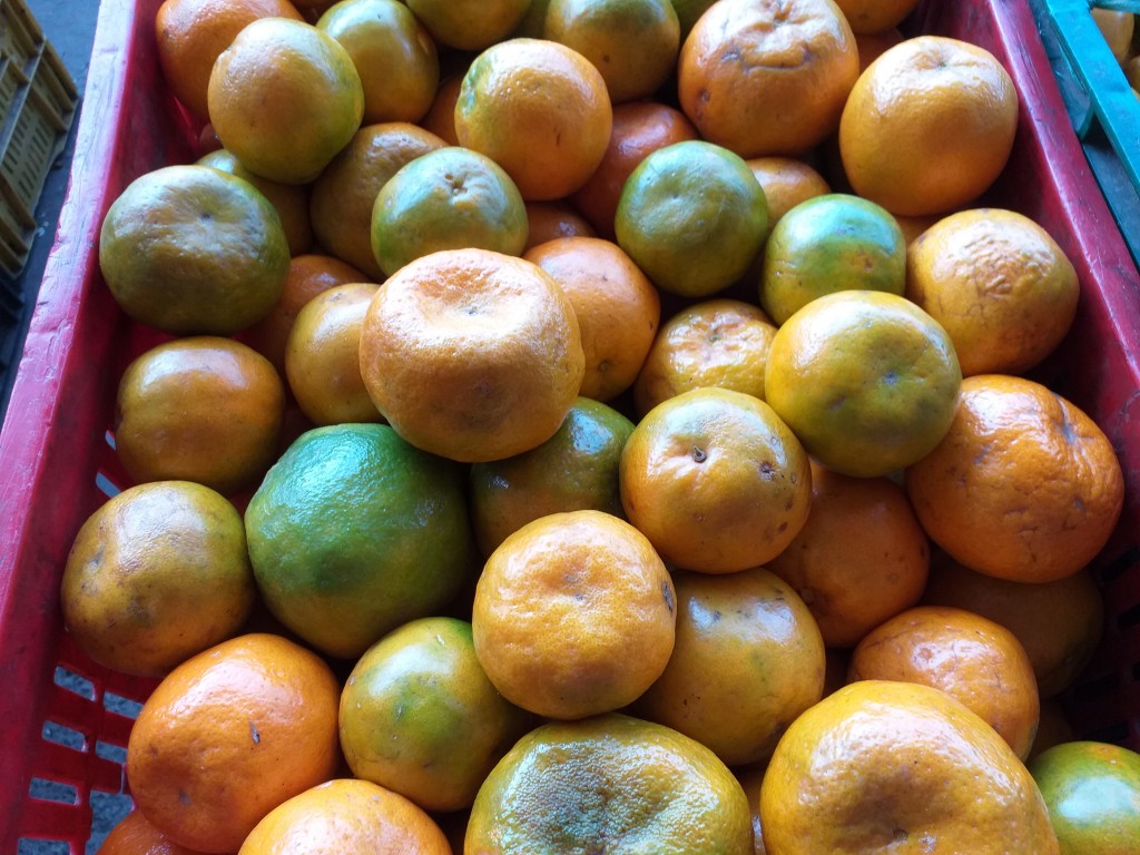 Mandarina
