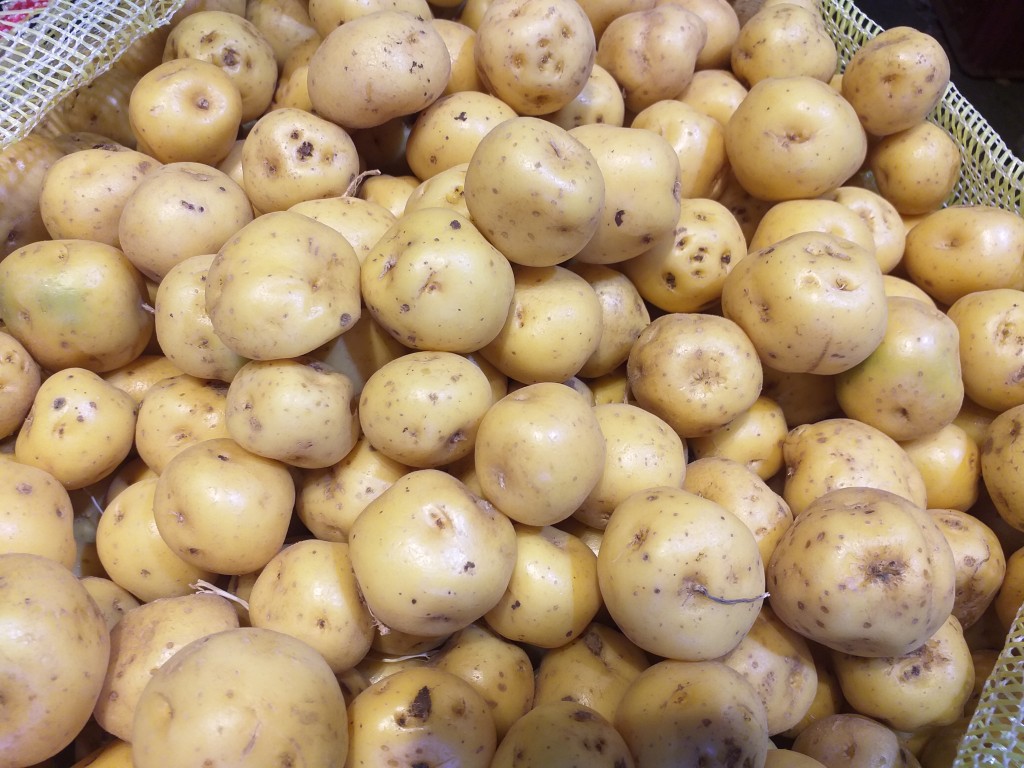 Papa criolla delgada