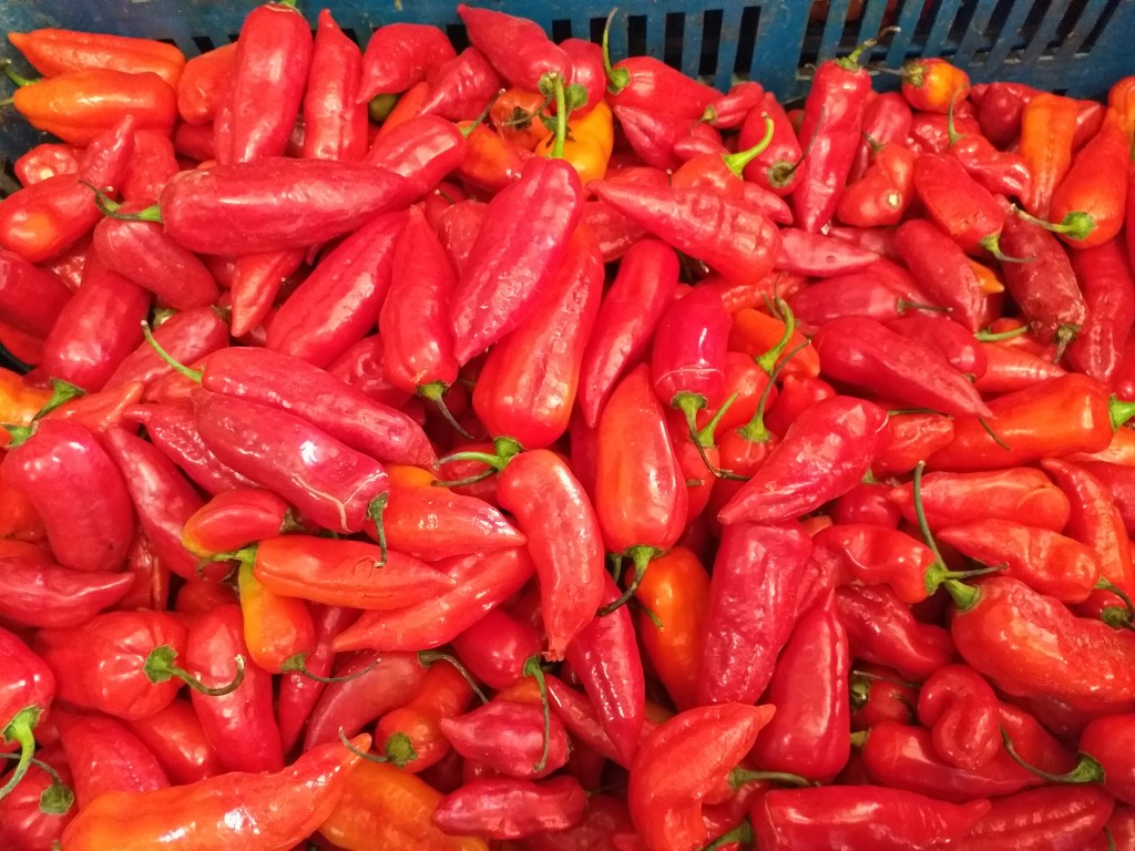Aji dulce