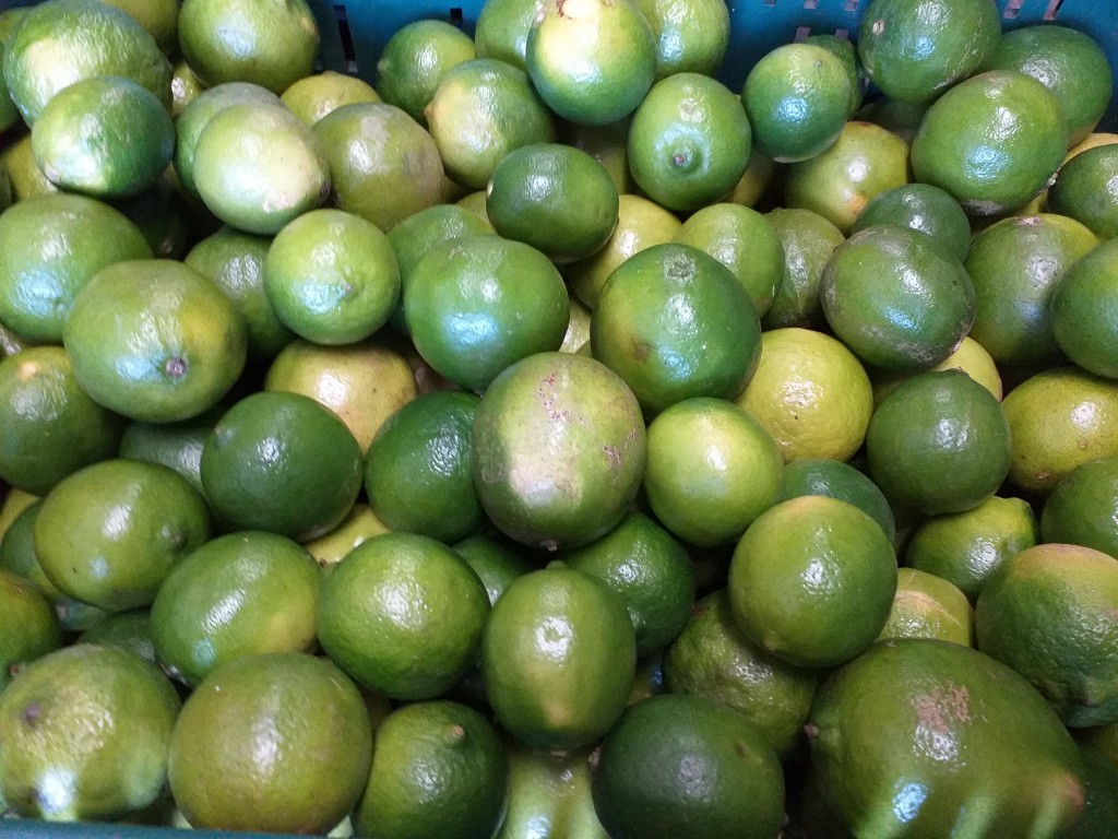 Limon tahiti