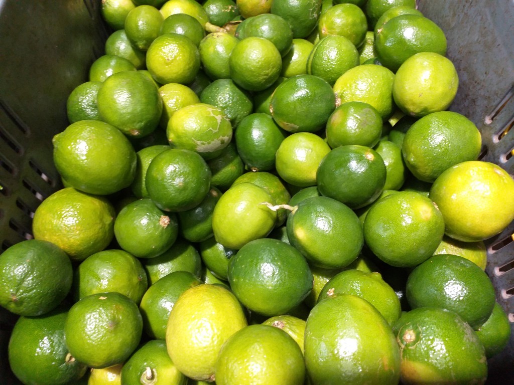 Limon tahiti