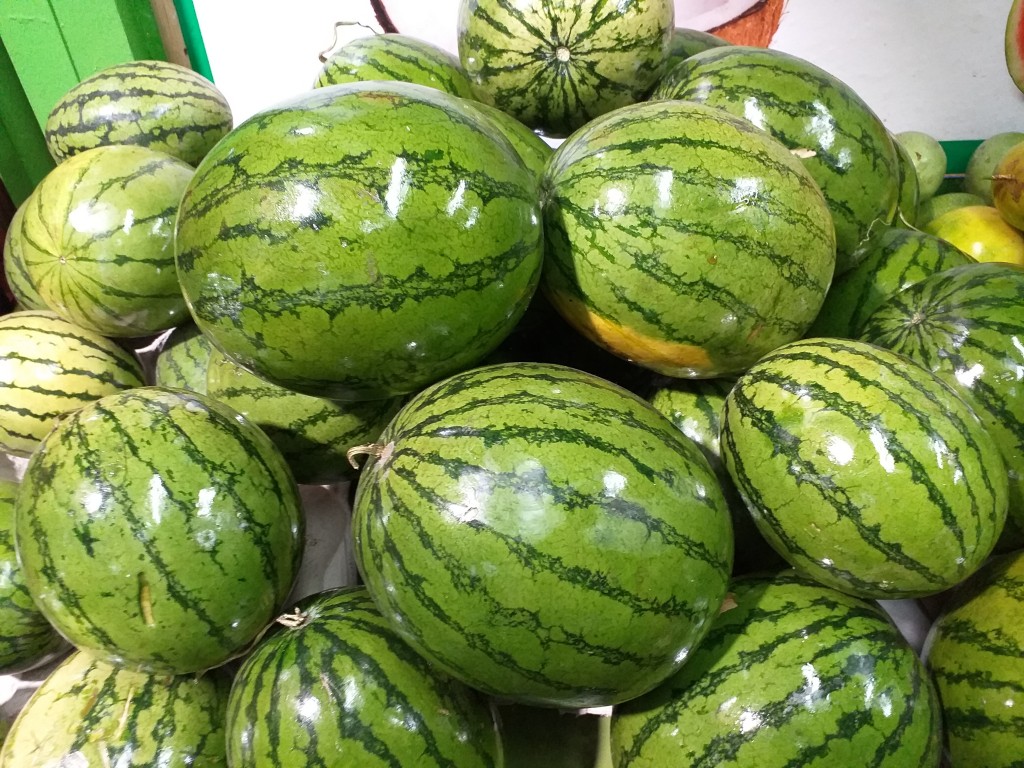 Sandia Baby