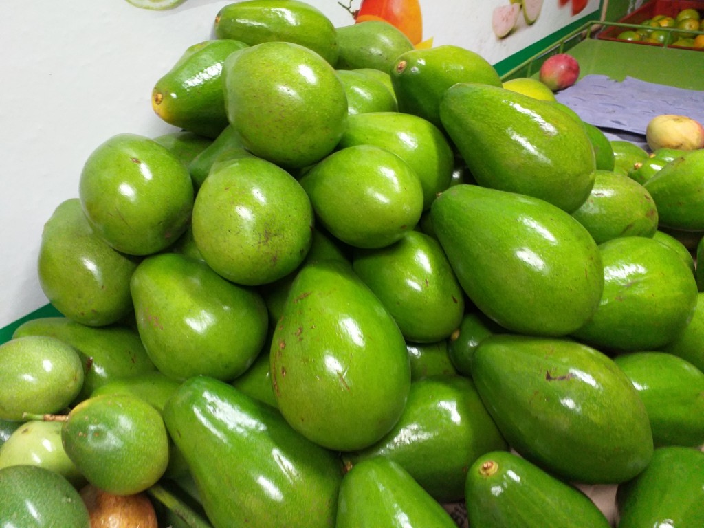 Aguacate papelillo