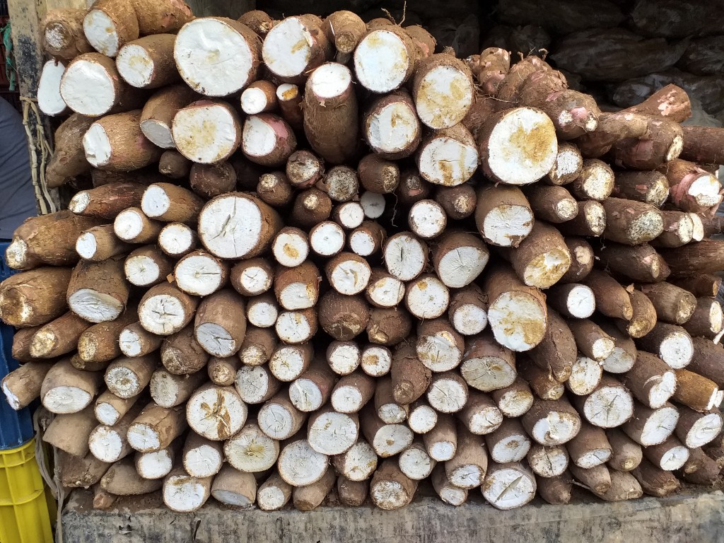 Yuca suelta
