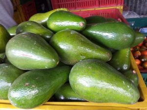Aguacate
