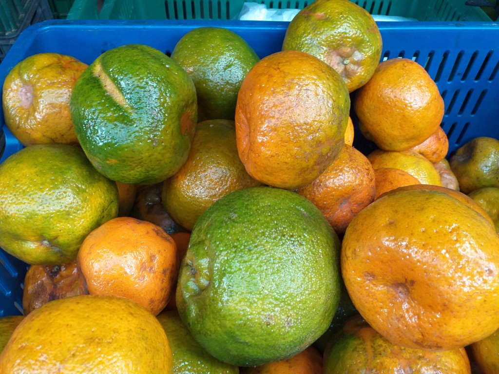 Mandarina oneca