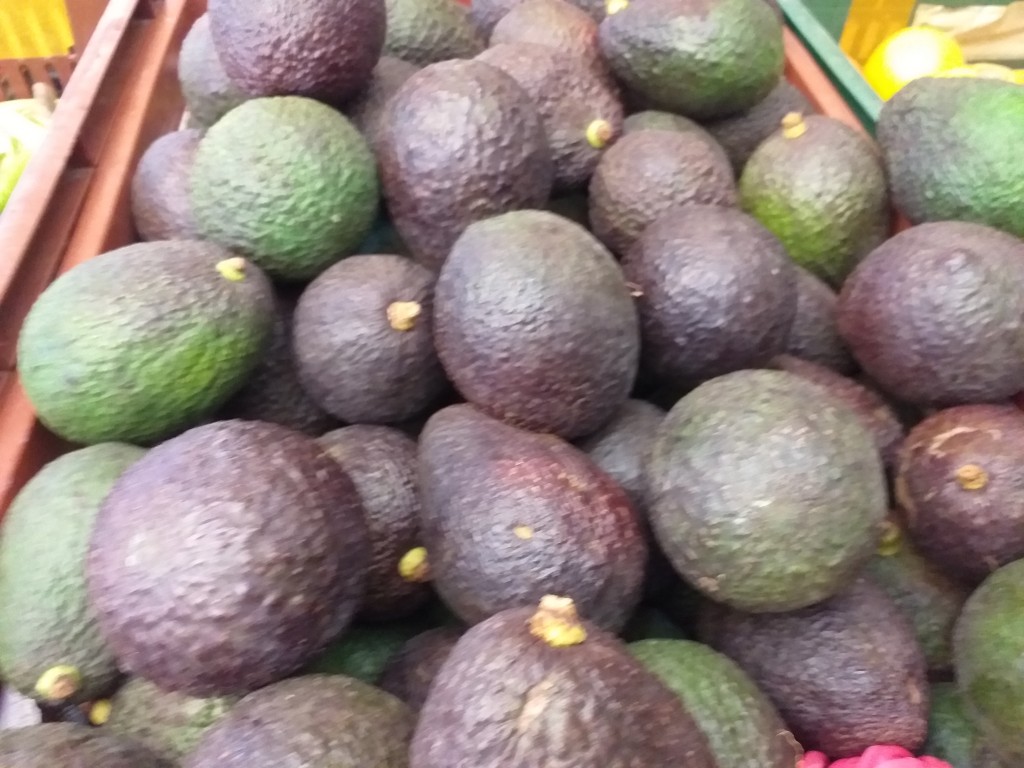 Aguacate hass