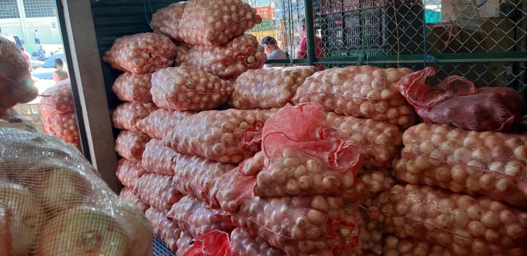 Cebolla de huevo pareja