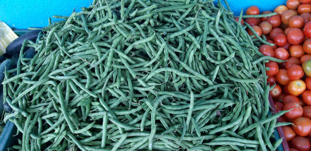 Habichuela