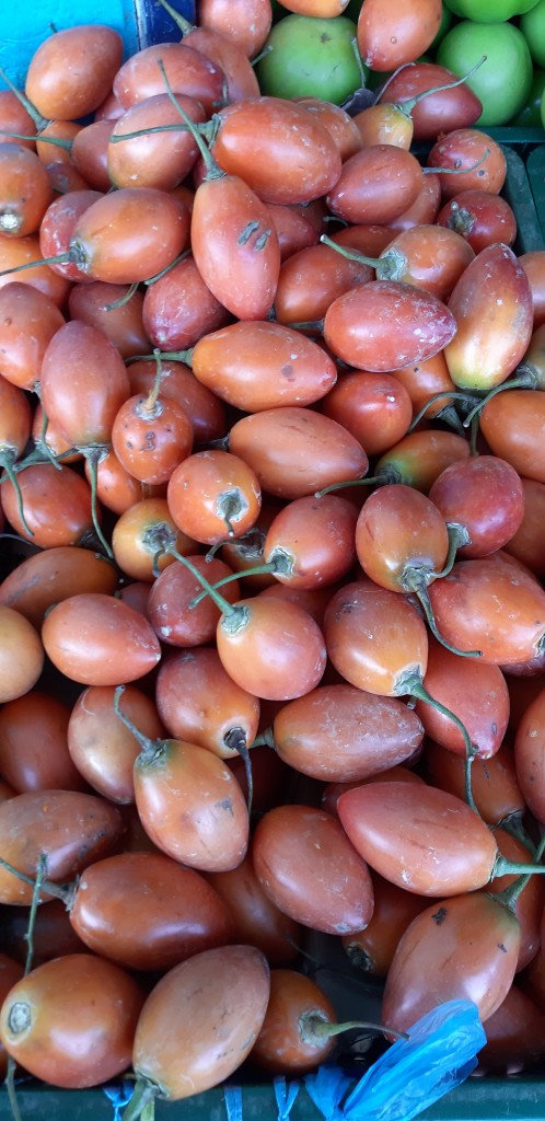 Tomate de árbol 1ra