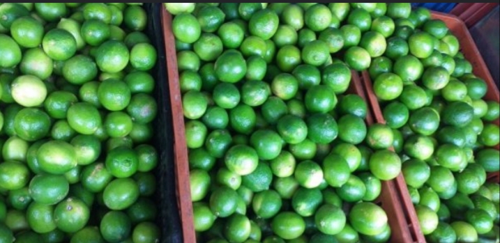 Limón tahiti de 2da