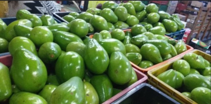 Aguacate papelillo