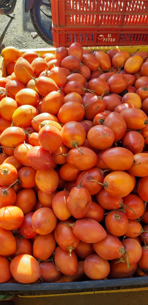 Tomate de árbol 1ra