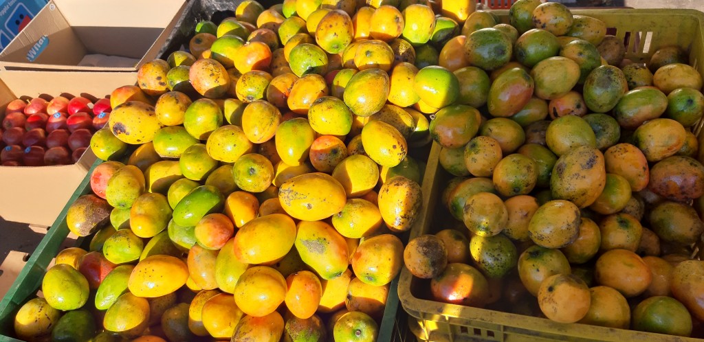 Tomate de árbol 1ra — foto 7 de 9