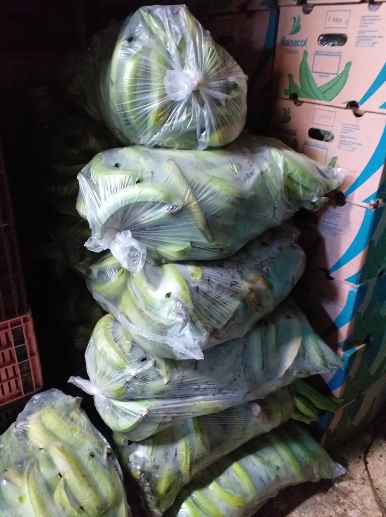 Platano verde