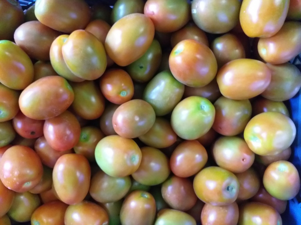 Tomate parejo