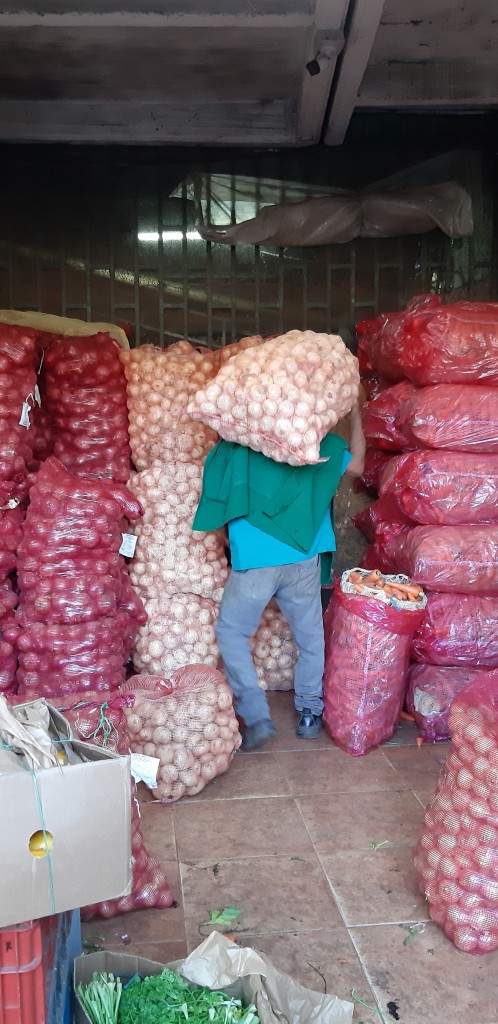 Cebolla de huevo Blanca