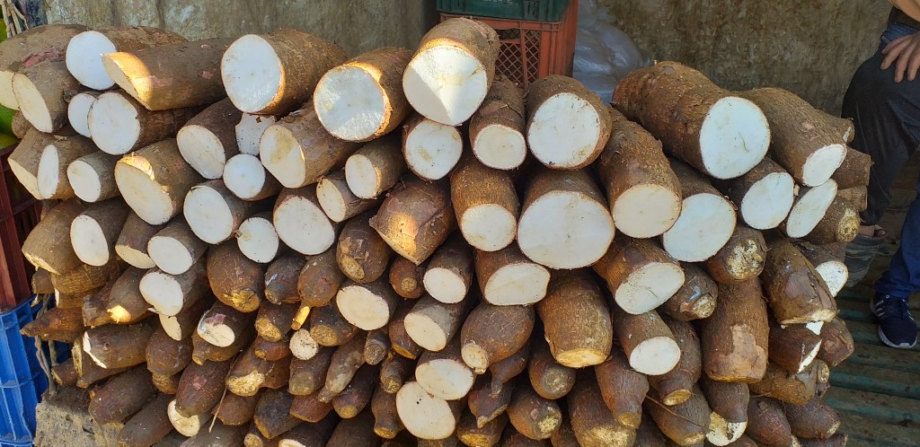 Yuca