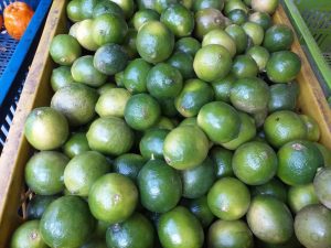 Limon tahiti