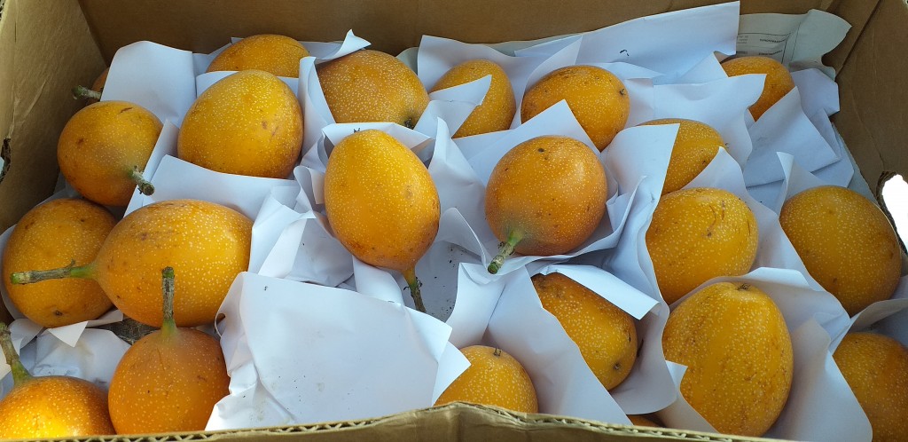 Granadilla (5und x Lb aprox)