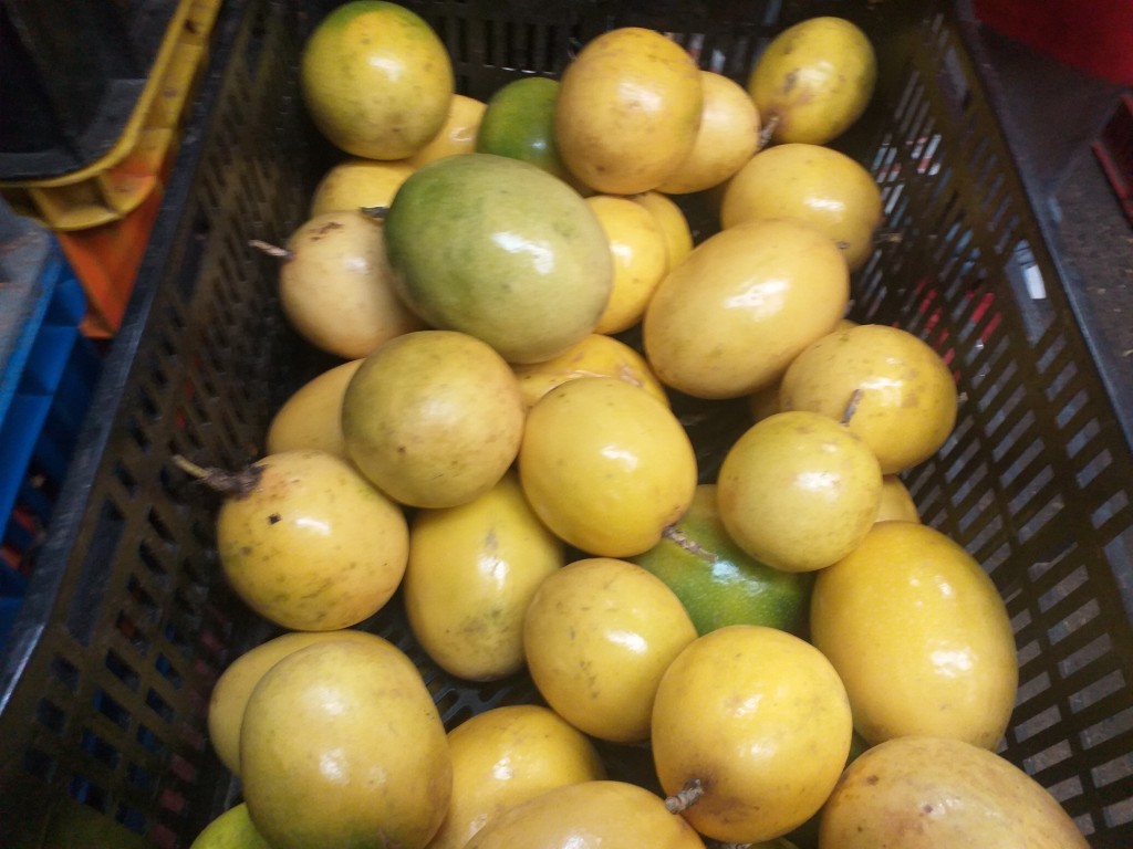Maracuya Extra  origen Caqueta