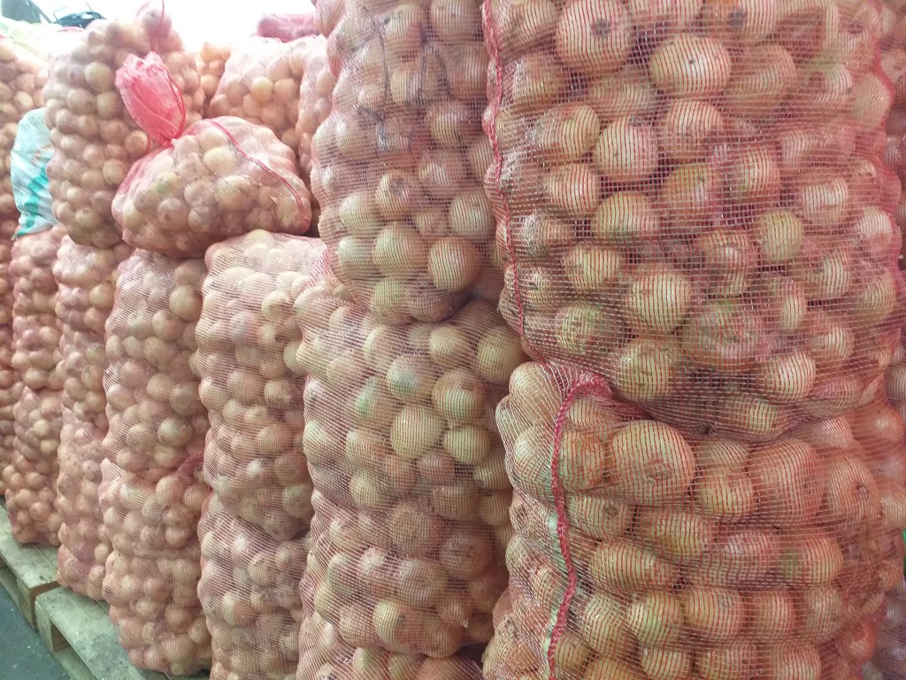 Cebolla huevo blanca