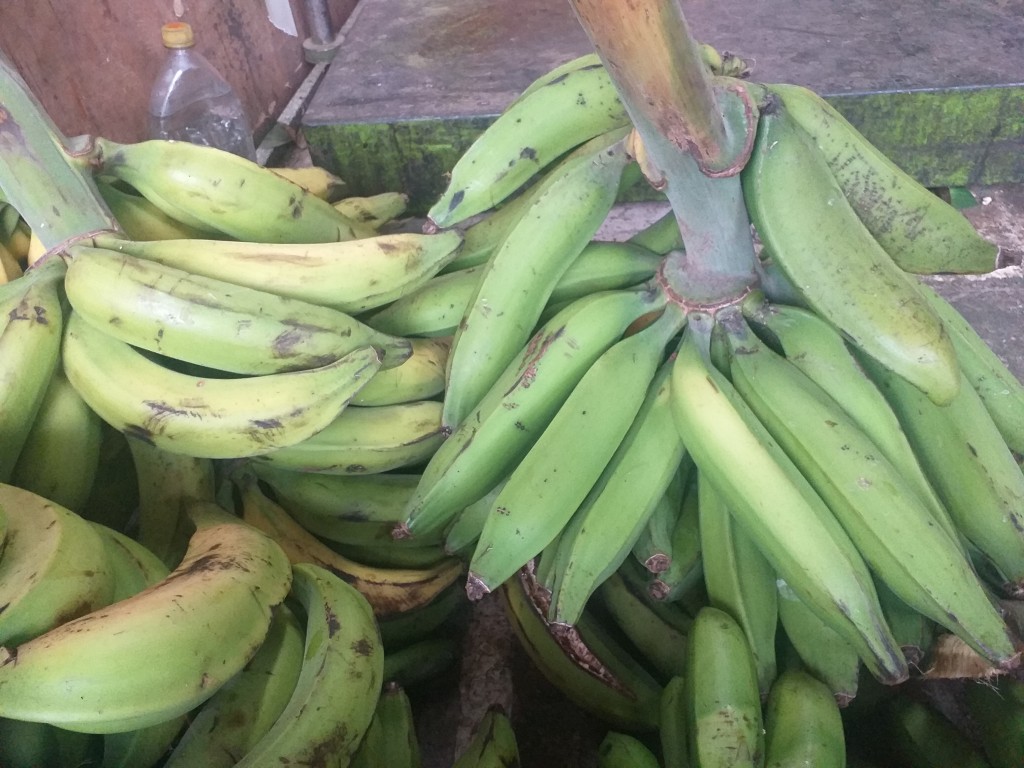 Platano verde