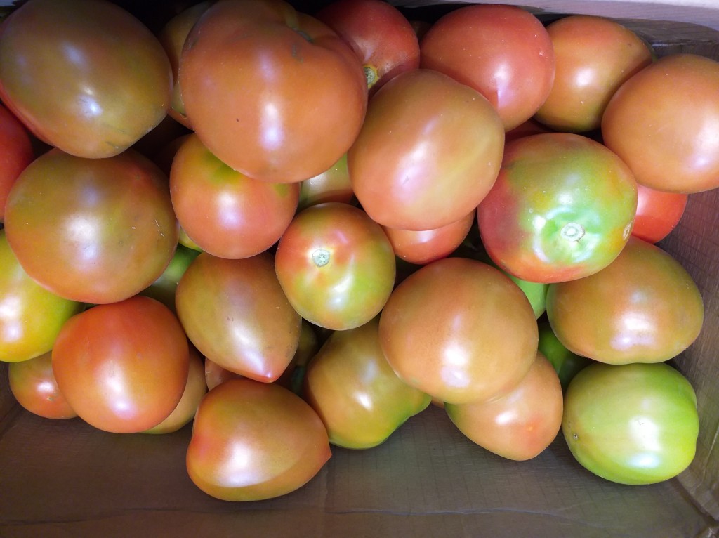 Tomate de aliño