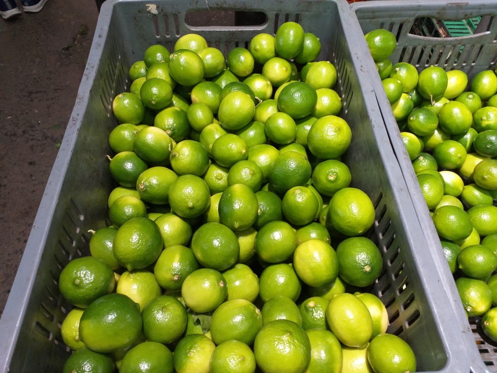 Limon tahiti