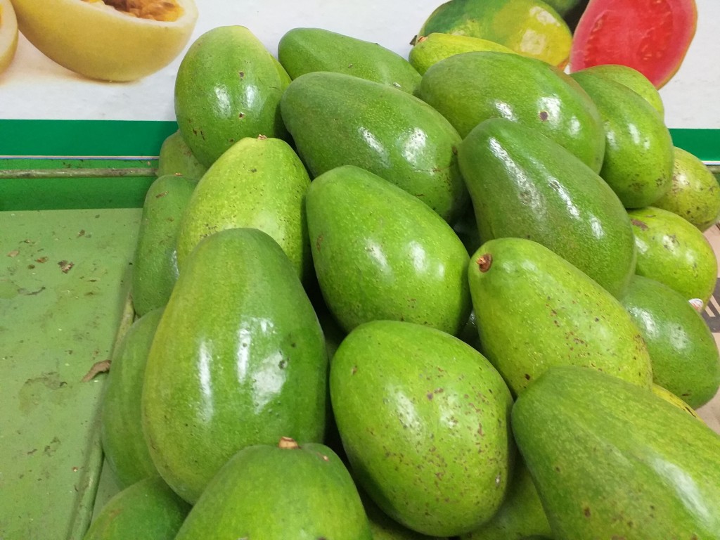 Aguacate papelillo
