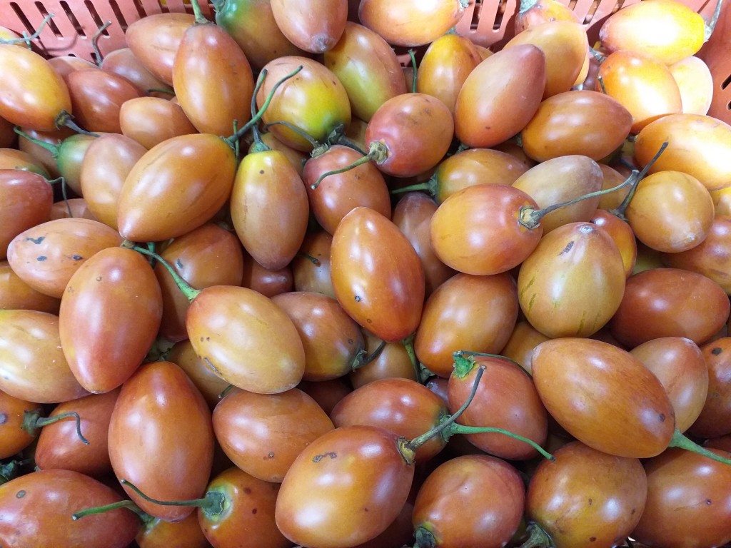 Tomate de arbol parejo