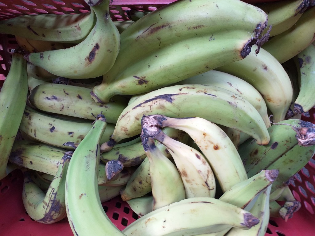 Platano verde