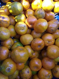 Mandarina oneca